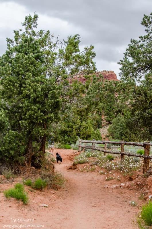 Timber & Tin G 2Bed 2Bath W Pool & Rooftop Deck Kanab Exterior photo